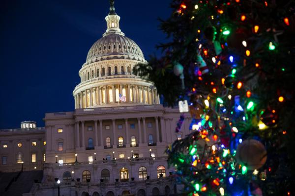<p>Коледно дърво край Капитолия. Вашингтон. 17 декември 2018.&nbsp; Photographer: Al Drago/Bloomberg.</p>
