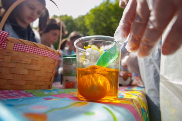 <p>Боядисване на яйца на площада пред църквата Света Неделя. София, 25 април 2019. Снимки: Димитър Кьосемарлиев/Investor Media Group.</p>
