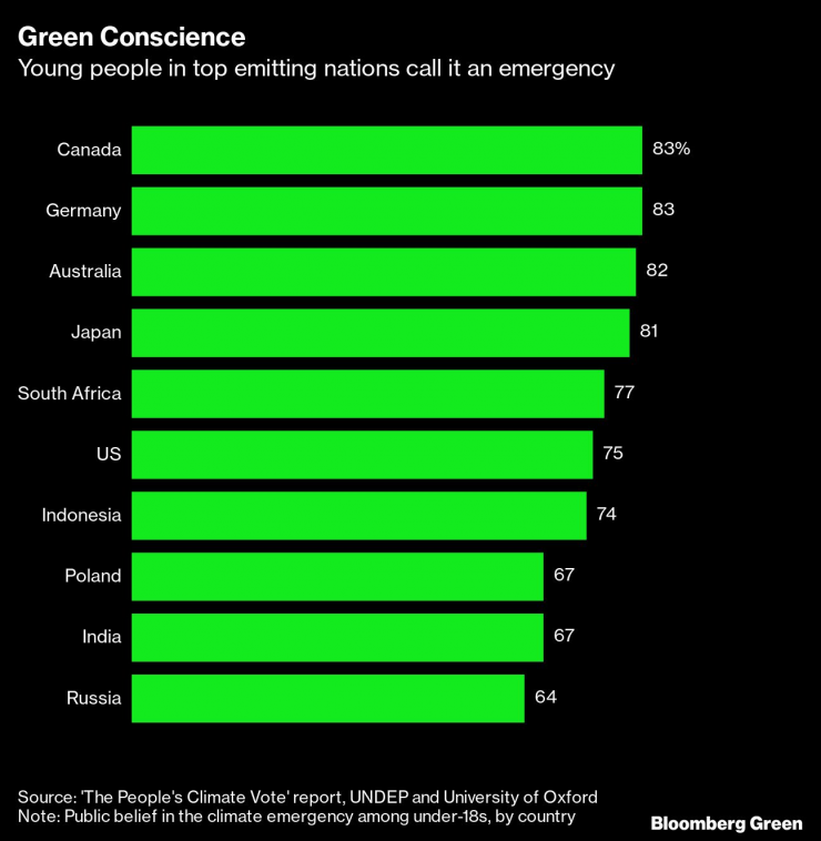 Зелената съвест